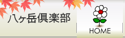 11月の八ヶ岳倶楽部