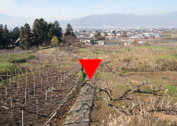 この場所から離陸出来るか?